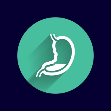 İnsan mide simgesi insan çapraz bağırsak