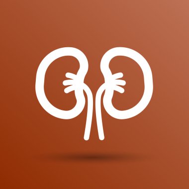 böbrek insan iki damar tıbbi beyaz izole simge 