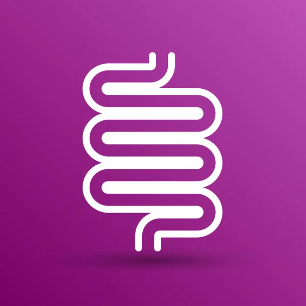 Diseño moderno plano con iconos de sombra intestino grueso — Vector de stock