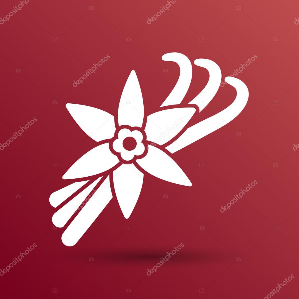 Vanilla flower and vanilla pods Vector Logo.