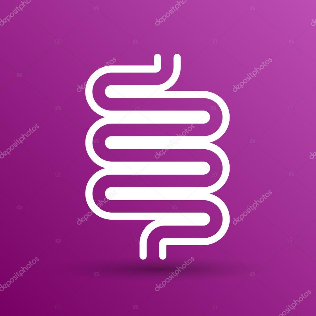 Flat modern design with shadow icons large intestine.