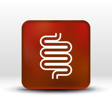 Flat modern design with shadow icons large intestine clipart