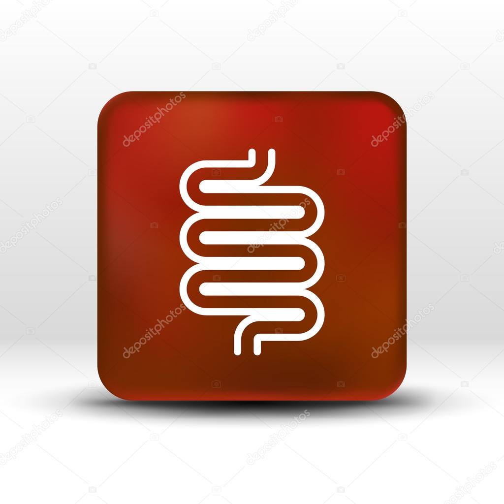 Flat modern design with shadow icons large intestine.