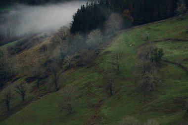 Kuzey İspanya 'da kışın dağlarda sisli bir manzara
