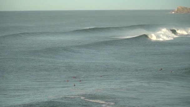 Algumas Gaivotas Arremessando Frente Pessoas Surfando Ondas Com Ajuda Jet — Vídeo de Stock