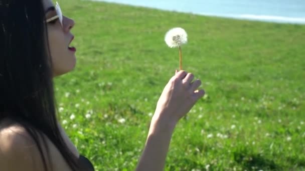 Молодая Латинская Женщина Дует Пыльцу Одуванчика Цветок Зеленом Лугу Рядом — стоковое видео