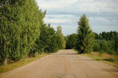 Ağaçlar karayolu ile