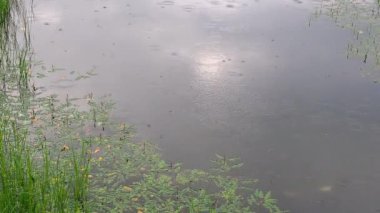 Yağmur sırasında su yüzeyi. Yansıma gökyüzü ile