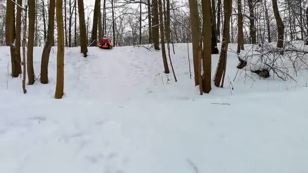 Μια γυναίκα σε έναν πορτοκαλί σωλήνα κατεβαίνει από μια χιονοστιβάδα στο δάσος.. — Αρχείο Βίντεο