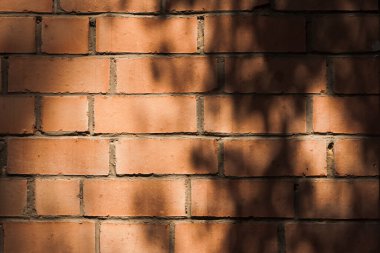 Tuğla duvar zemininde güneş parlıyor ve ağaç dalları gölgede