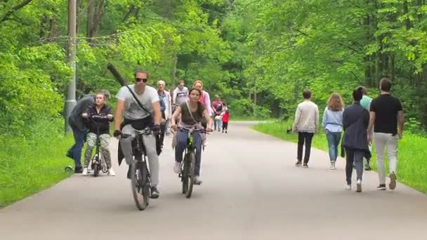 Parque público, caminho de asfalto no parque no verão, as pessoas andam — Vídeo de Stock