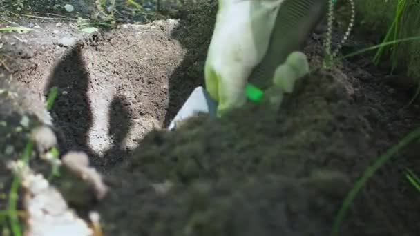 A hand in a glove digs a hole in the ground with a shovel for planting a plant — Stock videók