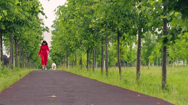 Uma mulher em um vestido vermelho corre por um beco com um pequeno Spitz branco da Pomerânia — Vídeo de Stock