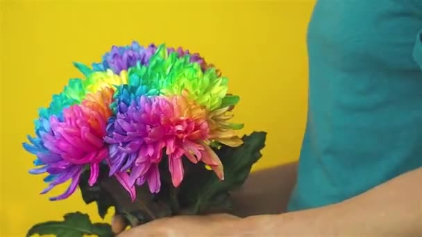 Blanke man met een boeket geschilderde chrysanten. — Stockvideo