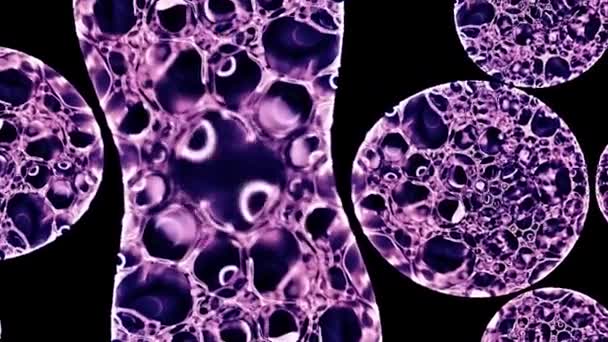 Kaleidoscope background - movement of lilac drops — Stock Video