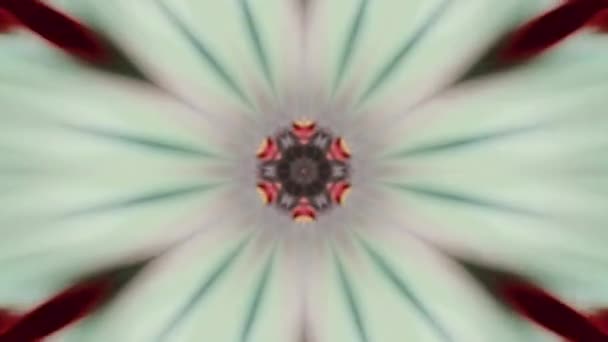 Flower kaleidoscope - white, yellow, red. Loop video. — Stock Video
