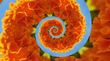 Kaleydoskop arkaplan - mavi gökyüzünde portakal çiçeği, spiral, döngü video.