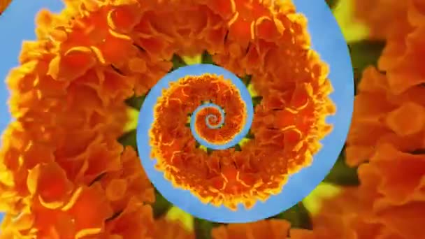 Kaleidoscope background - orange flower on blue sky, spiral, loop video. — Stock Video