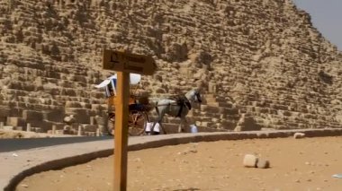 Giza piramitlerinin eteğinde tek atlı bir turist arabası.