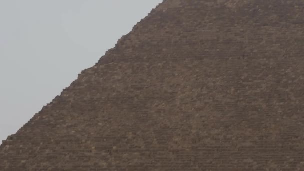 Vue de la pyramide des Khéops et des pigeons volants le long de la vue de la ville — Video