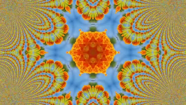 Kaleidoscope background - orange flower on blue sky, loop video. — Stock Video