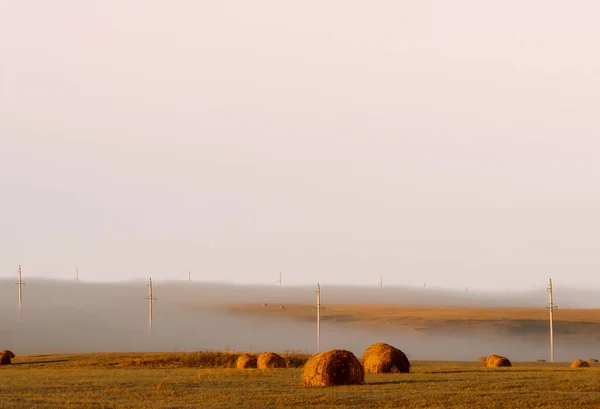 Gęsta mgła otacza sielankowy krajobraz. — Zdjęcie stockowe