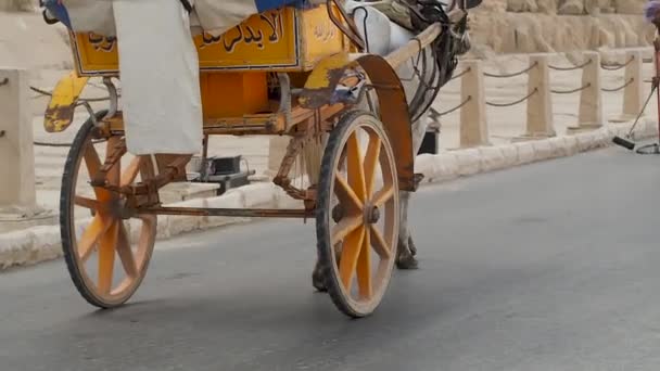 Ein reitendes Kamel wartet auf Touristen — Stockvideo