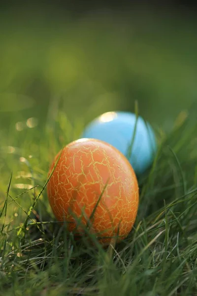 Охота за пасхальными яйцами. В поисках пасхальных яиц в траве. Сине-оранжевое пасхальное яйцо, окрашенное в зеленый цвет. копировальное пространство. — стоковое фото