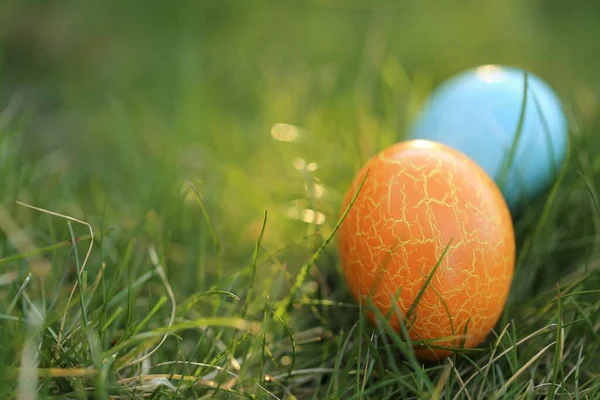 Easter egg hunt.Easter holiday. Searching for Easter eggs in the grass. Blue and orange Easter painted egg in green spring grass.Spring festive easter background.Easter symbol. copy space.