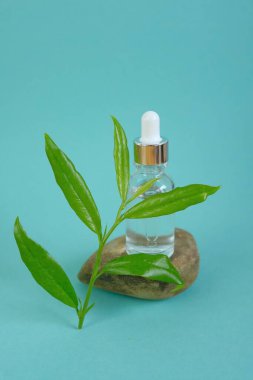 Yüz serumu. Doğal Organik Botanik Serumu. Bitkisel Doğal Vegan Kozmetik Konsepti. Taş üzerinde şeffaf kozmetik şişesi ve turkuaz arka planda yeşil filiz. Güzellik ve sağlık konsepti.