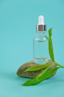 Yüz serumu. Doğal Organik Botanik Serumu. Bitkisel Doğal Vejetaryen Kozmetik. Taş üzerinde şeffaf kozmetik şişesi ve turkuaz ışık arka planında yeşil filiz. Güzellik ve sağlık konsepti.