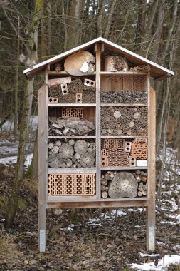 Bahar Ormanındaki Böcek Evi. Ekoloji ve Doğa Koruma Konsepti. Çevreye önem vermek. 