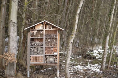 Bahar Ormanındaki Böcek Evi. Ekoloji ve Doğa Koruma Konsepti. Çevreye önem vermek. Doğadaki Böcekler
