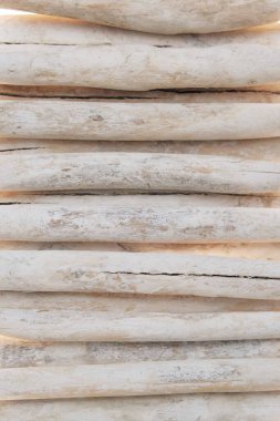 Dalgalanan odun. Bir sıra beyaz deniz çıkıntısı. Beyaz dallar, yakın çekim dokusu. Tahta doğanın bej arka planı..