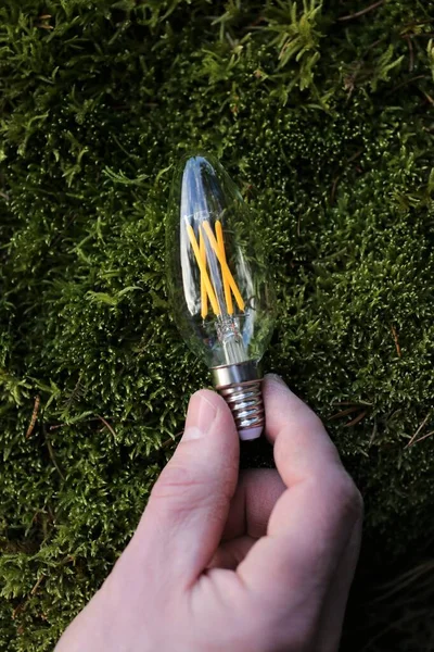 Energy saving lamp. Earth day and resource conservation concept.Pure natural energy. Alternative energy sources.Reasonable energy consumption and nature conservation concept.Lamp in hand on green