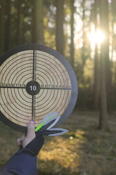Throwing knives. Sport and hobby concept.Throwing knives and target in hand on blurred forest background.Outdoor sports. Active sports in the forest.Goal achievement concept.