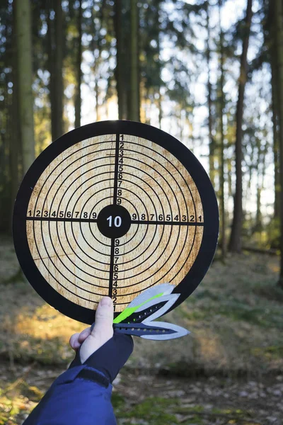 Throwing knives. Sport and hobby concept.Throwing knives set and target in hand on blurred forest background.Outdoor sports. Active sports in the forest.Goal achievement concept.