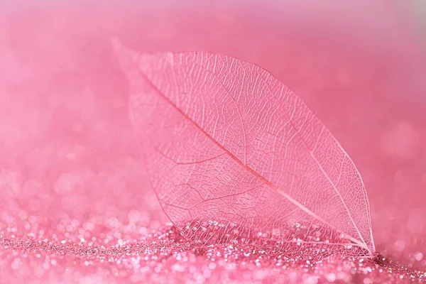skeleton leaves.Skeletonized pink leaf close-up in pink glow glitter on a light pink background.Wallpaper phone shining glitter. Beautiful nature background with shining bokeh