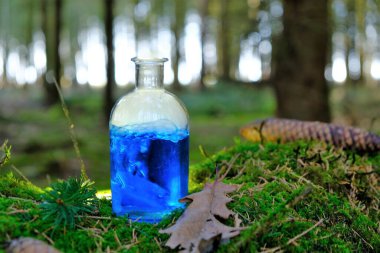 Bitkisel mavi iksir. Bulanık bir orman arka planındaki bir kütükte bitkisel iksir. Sihirli iksir. Homeopatik ilaç. Organik Kozmetik Konsepti