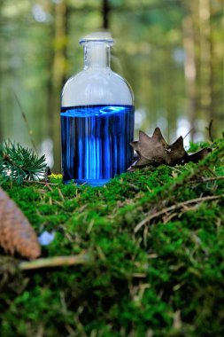 Bitkisel mavi iksir. Bulanık bir orman arka planında yosunlu bir kütükte bitkisel iksir. Sihirli iksir. Homeopatik ilaç. Organik Kozmetik 