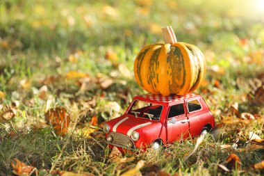 Sonbahar sezonu. Balkabağı teslimatı. Balkabağı hasadı. Cadılar Bayramı ve Şükran Günü tatilleri. Güneşli sonbahar bahçesinde süslü kırmızı bir arabada balkabağına takıldım. Sonbahar havasında. Sonbahar zamanı