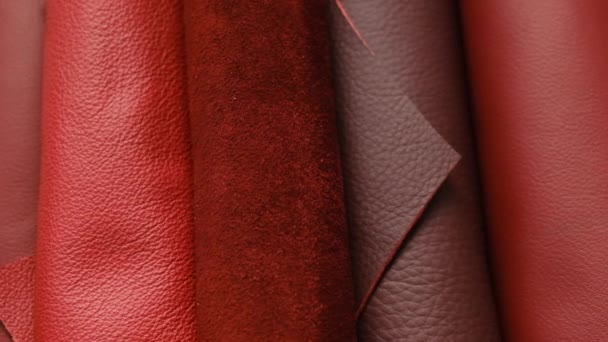 Rolls of burgundy and red Leather.genuine leather surface.Pomalá rotace. Červené kožené pozadí.matný a lesklý povrch pleti v červených odstínech.originální kožený sortiment. — Stock video