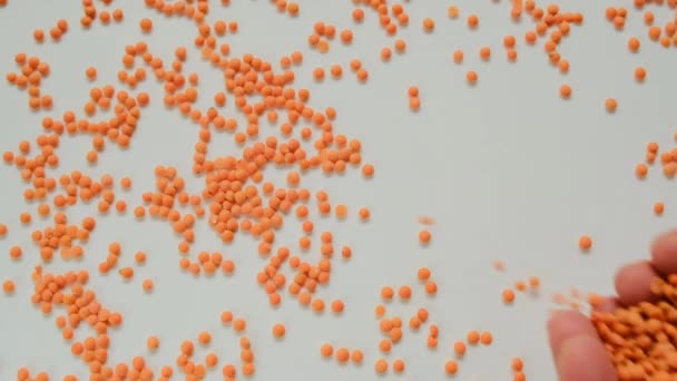 Red lentils in female hands on a light background .uncooked red lentils.Slow motion.Vegetable source of protein — Stock Video