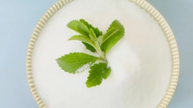 Stevia. Doğal tatlandırıcı. Stevia beyaz tozu ve stevia yeşil filizi açık mavi arka planda yuvarlak bir fincanda.