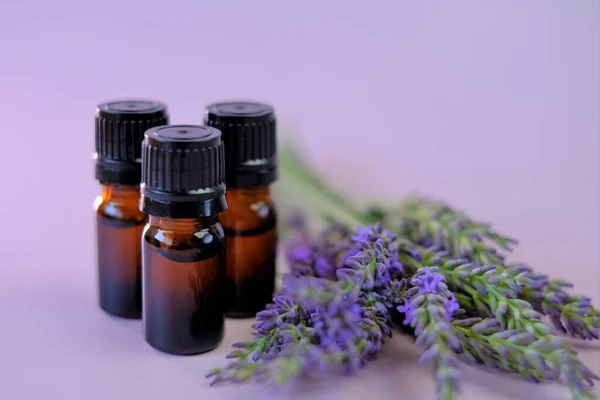 Lavender essential oil.Three brown glass pharmacy jars with lavender oil and lavender flowers on a lilac background.Organic pure essential oil. Natural natural bio cosmetics — Stock Photo, Image