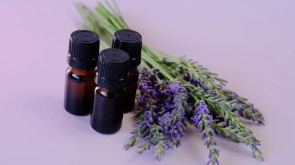 Lavendel eterisk olja och lavendel blommor på en lila bakgrund.Ekologisk ren eterisk olja. Naturliga biologiska kosmetika — Stockvideo