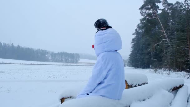Hóember ül egy fatörzsön egy téli havas mezőn. Havazik.Karácsony és újév ideje — Stock videók