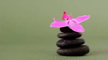 Spa Taşları ve Orkide Çiçeği. Masaj Taşı. Güzellik ve uyum. Yeşil arka planda siyah taşlar ve pembe orkide çiçekleri var. Güzel Zen Taşları..