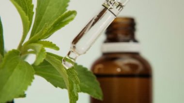 Stevia sıvıştı. Stevia rebaudiana cam pipet ve stevia özü ile bulanık arka plan. Doğal sebze tatlandırıcısı. Kilo vermek için sağlıklı yiyecek ve yiyecek.