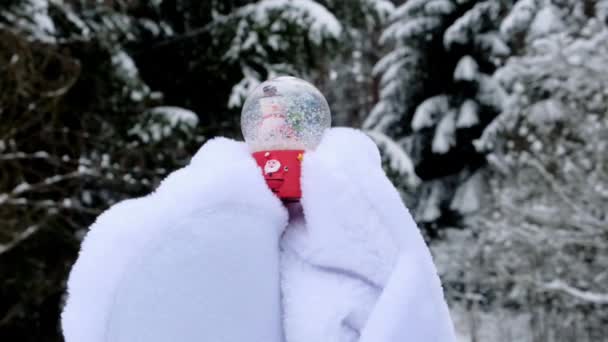 Sfera di neve con pupazzo di neve in mano pupazzo di neve primo piano su sfondo foresta invernale innevata. Tempo di Natale — Video Stock